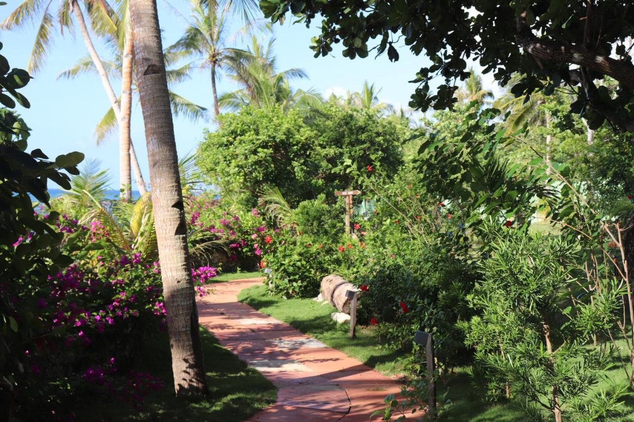 Island View Beachfront Resort Анда Екстериор снимка